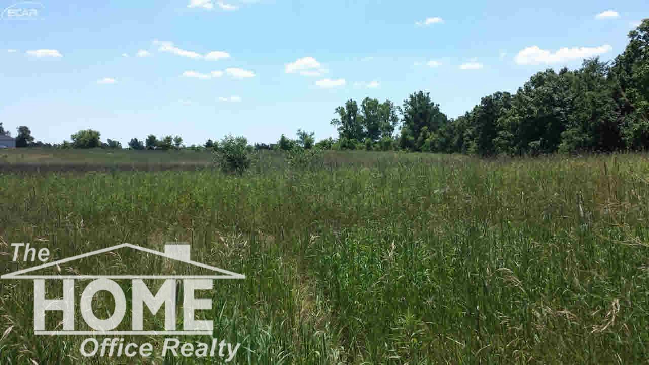 0 Pratt Road Laingsburg, MI 48879 - Photo 2 of 4
