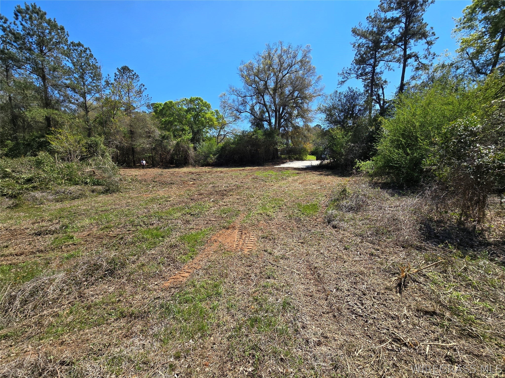 0 Will Logan Road Ozark, AL 36360 - Photo 34 of 44 Gallery Image 34