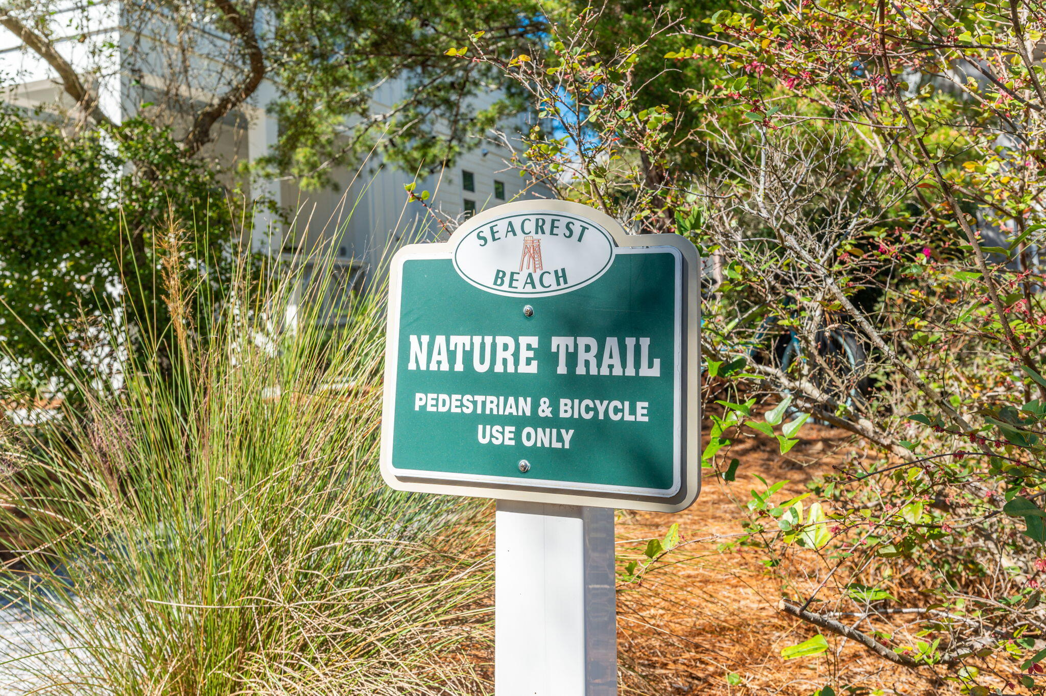 212 Seacrest Beach Boulevard East Inlet Beach, FL 32461 - Photo 37 of 43 Across the Street