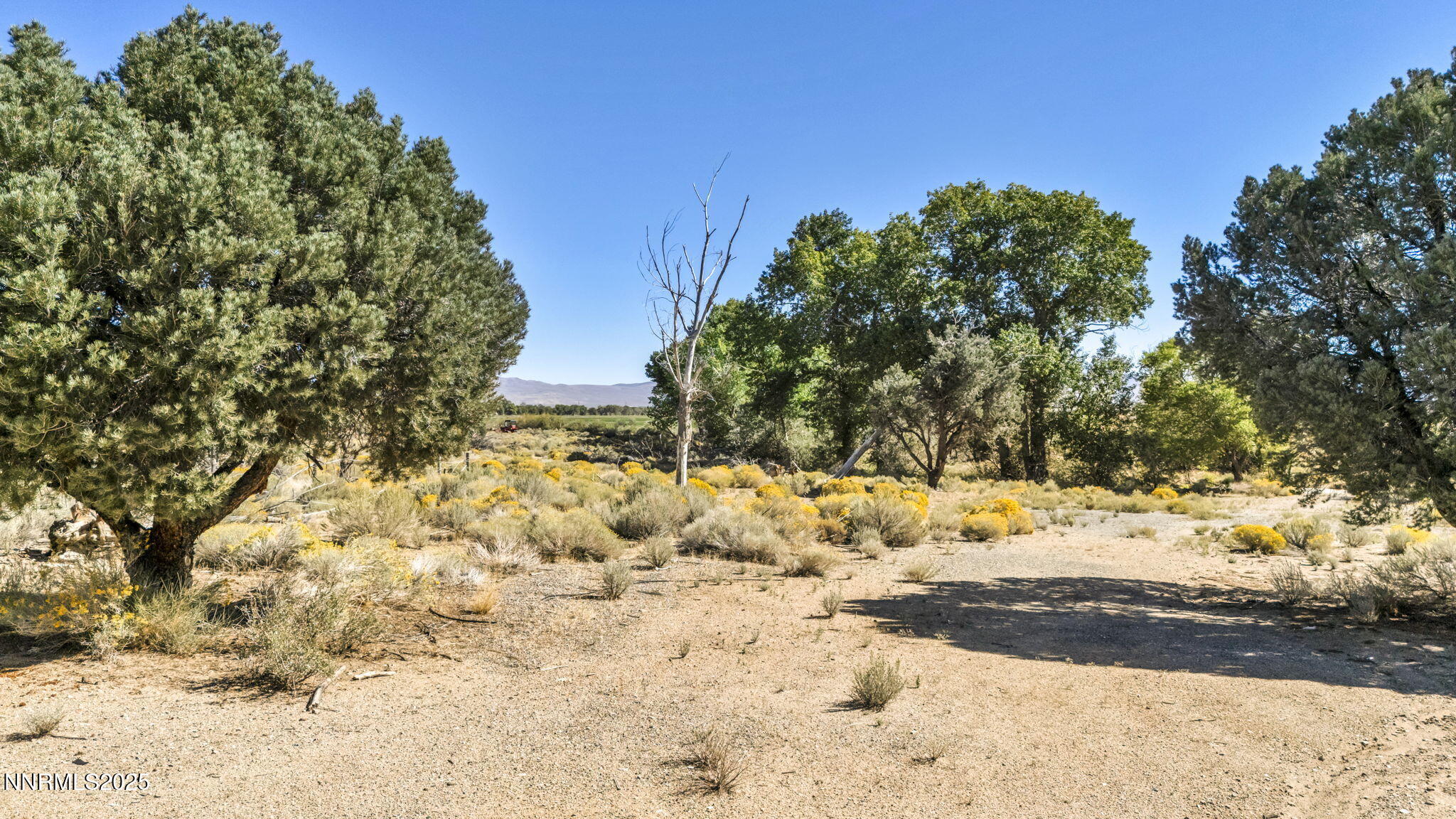 456 Upper Colony Road Smith Valley, NV 89444 - Photo 12 of 15 7-web-or-mls-456-upper-colony-rd