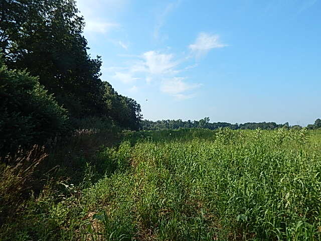 1611 East Hyde Road St. Johns, MI 48879 - Photo 11 of 14 DSCN1543