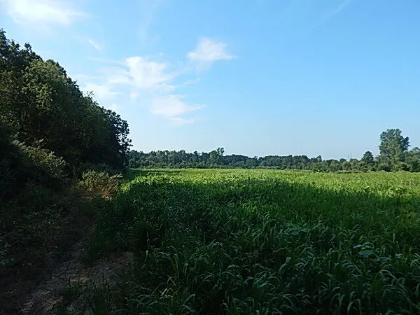 $499,000 | 1611 East Hyde Road, St. Johns, MI 48879