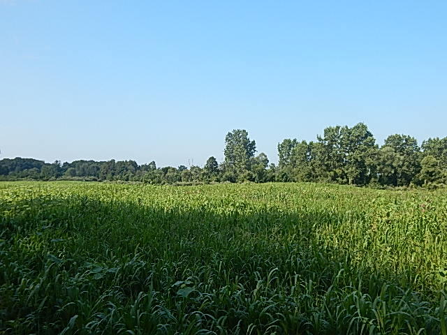 1611 East Hyde Road St. Johns, MI 48879 - Photo 13 of 14 DSCN1545