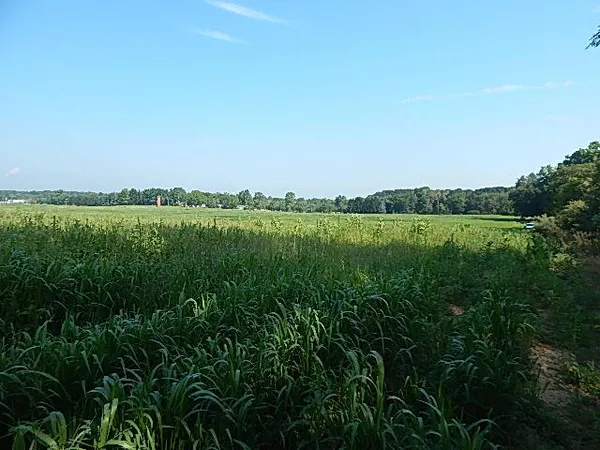 $499,000 | 1611 East Hyde Road, St. Johns, MI 48879