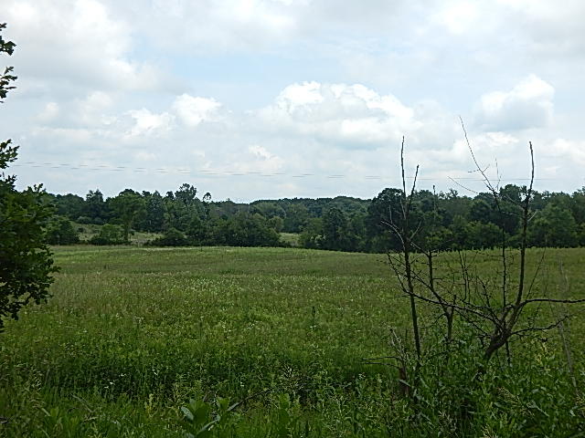1611 East Hyde Road St. Johns, MI 48879 - Photo 2 of 14 DSCN1490