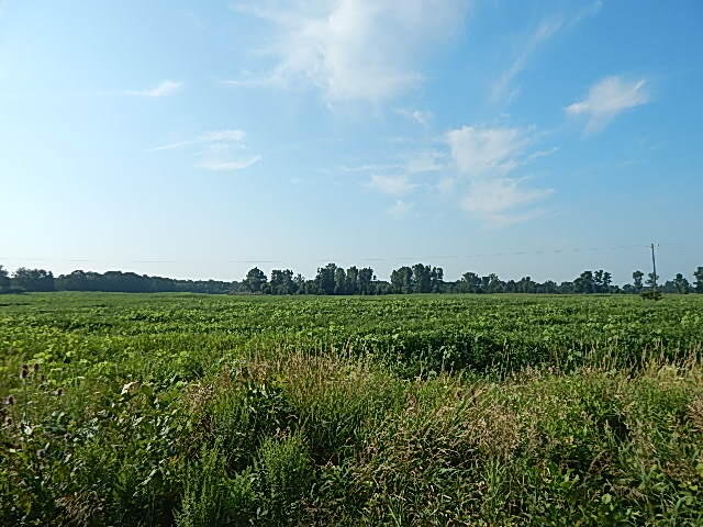 1611 East Hyde Road St. Johns, MI 48879 - Photo 4 of 14 DSCN1536
