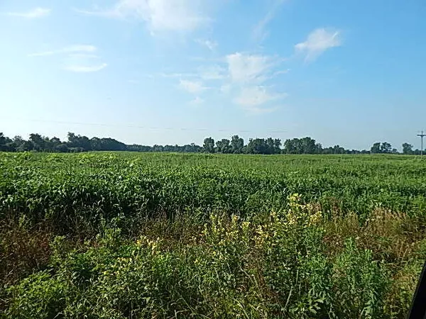 $499,000 | 1611 East Hyde Road, St. Johns, MI 48879