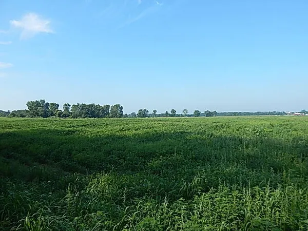 $499,000 | 1611 East Hyde Road, St. Johns, MI 48879