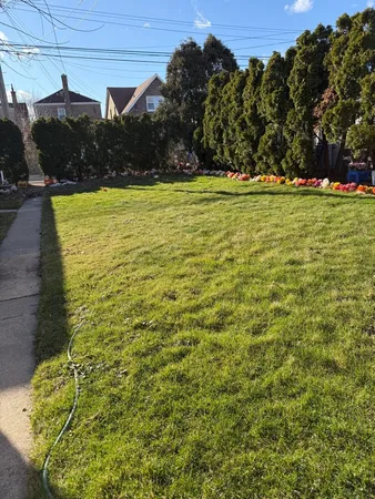 a view of a yard