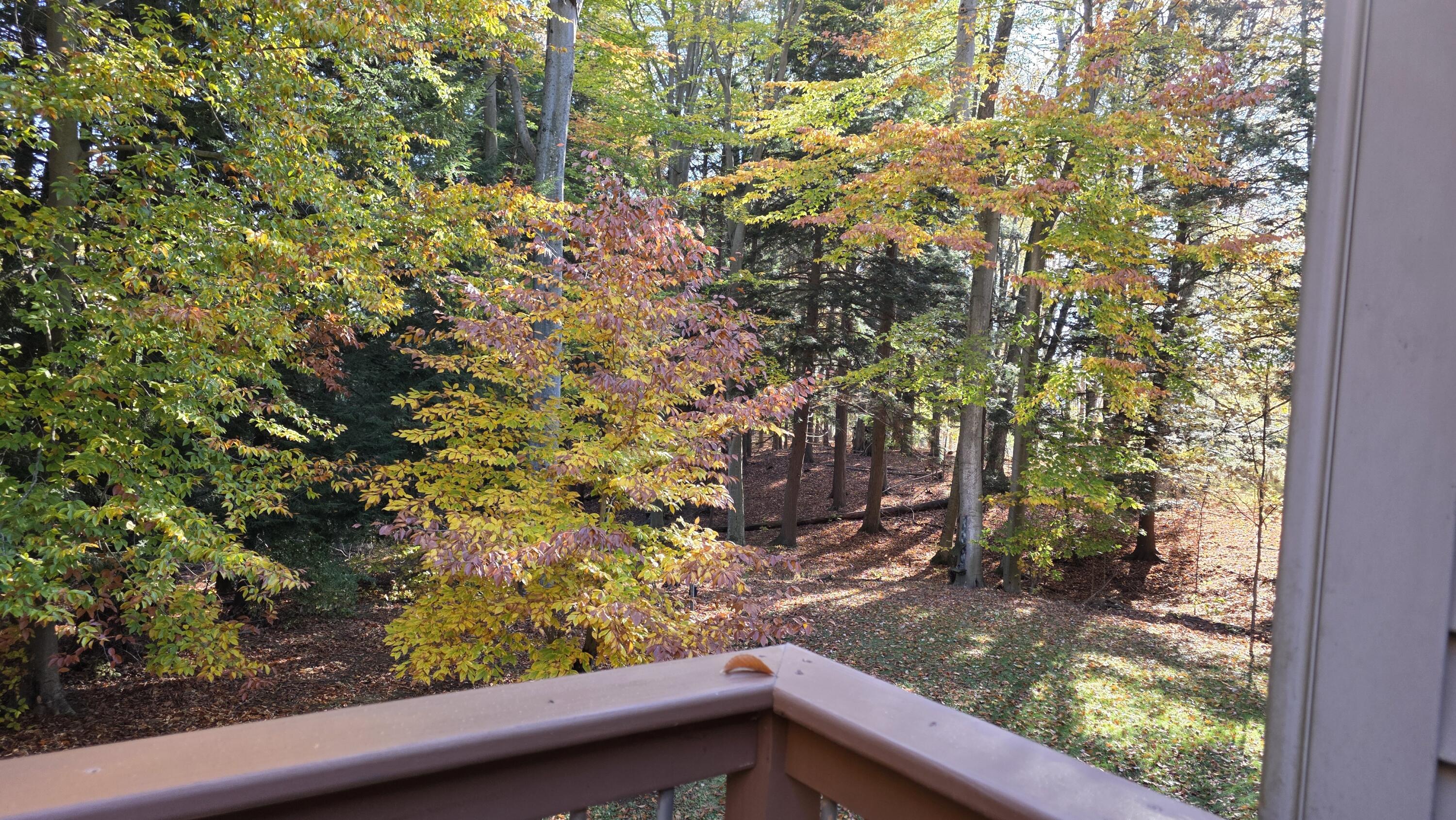 8632 West Blanchard Road Blanchard, MI 49310 - Photo 13 of 54 20251027_104740