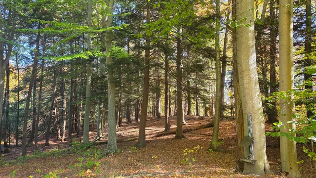 $499,900 | 8632 West Blanchard Road, Blanchard, MI 49310