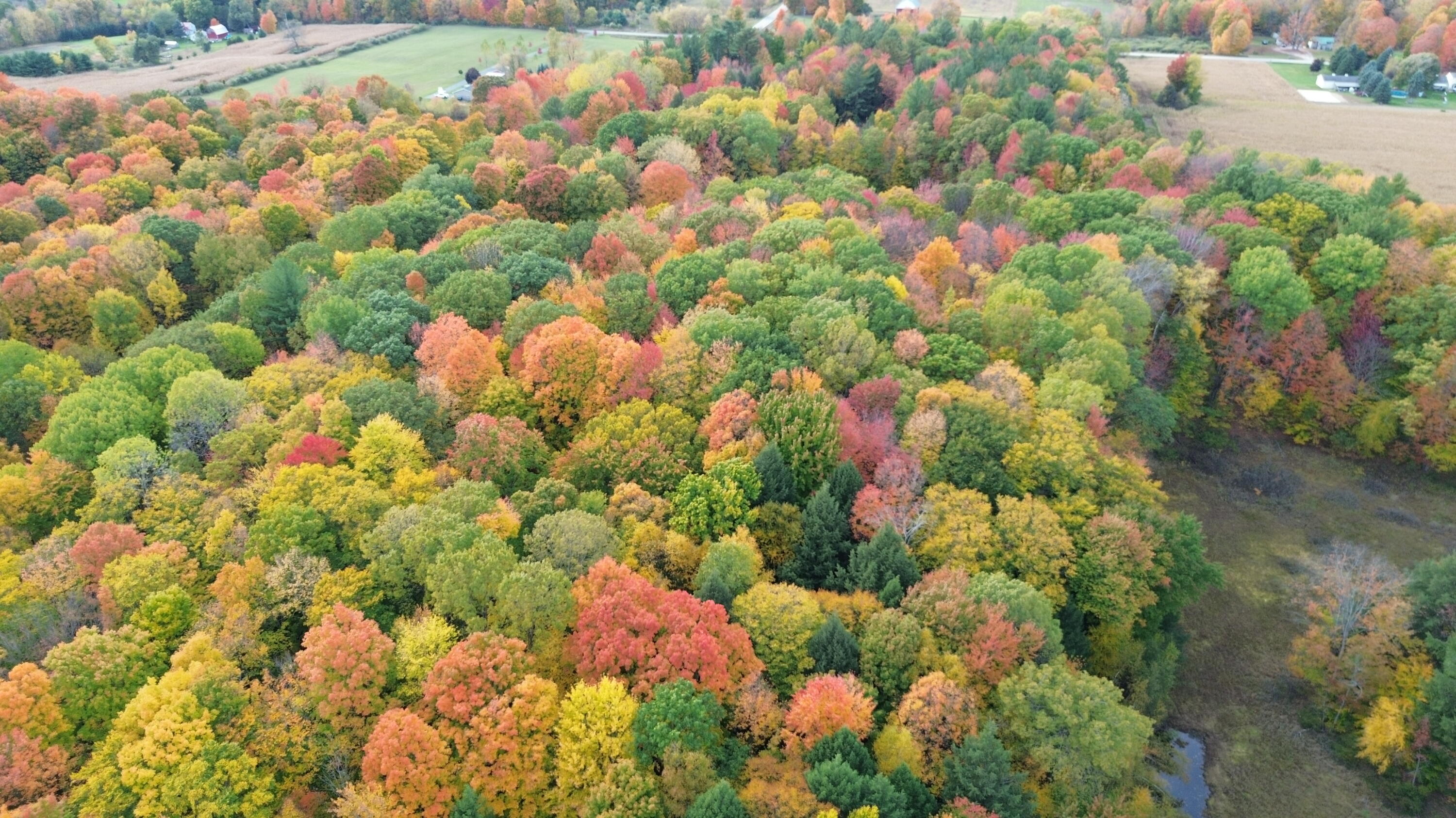 8632 West Blanchard Road Blanchard, MI 49310 - Photo 53 of 54 DJI_0118