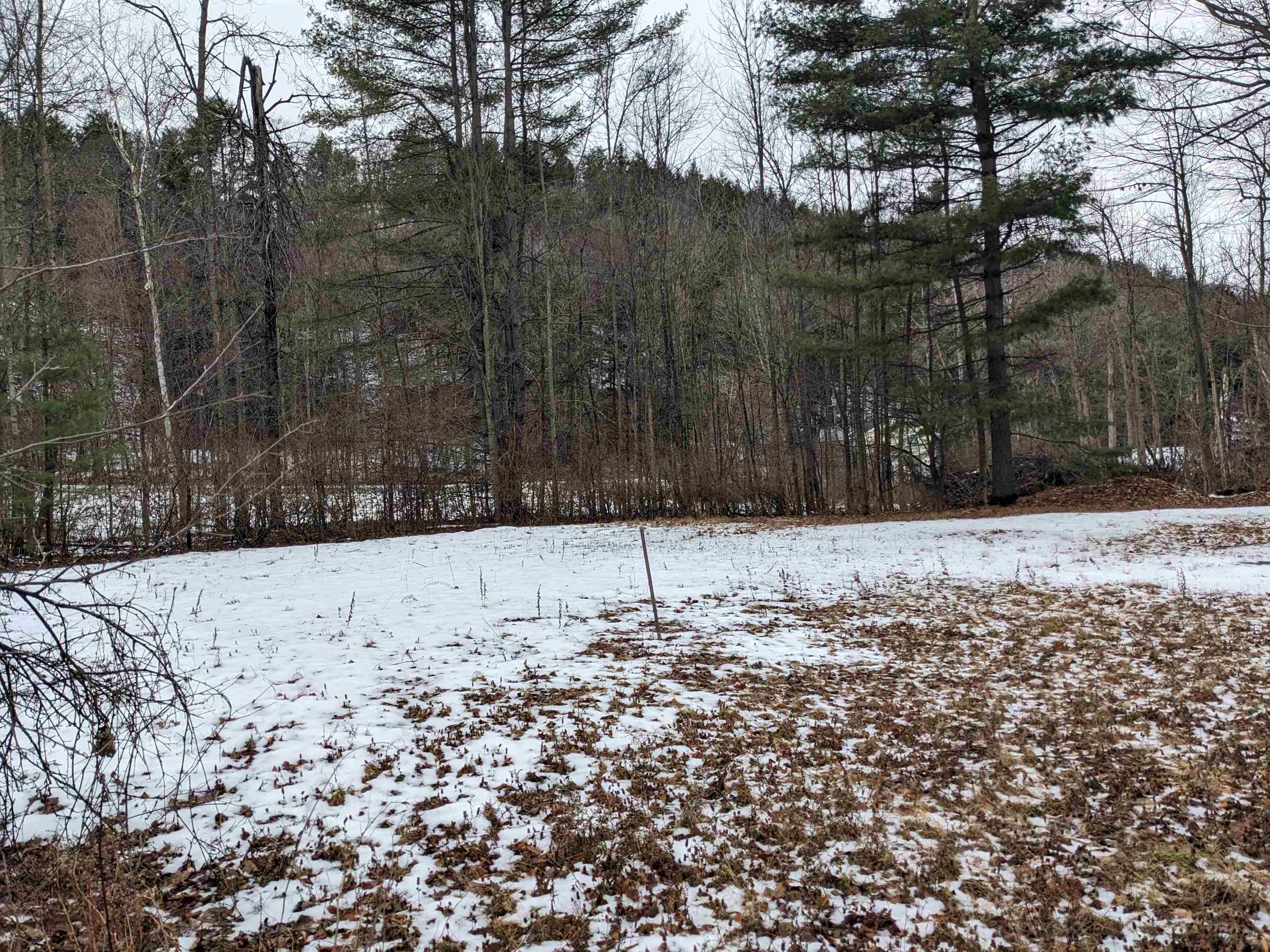 95 Sevigny Road Castleton, VT 05735 - Photo 18 of 22