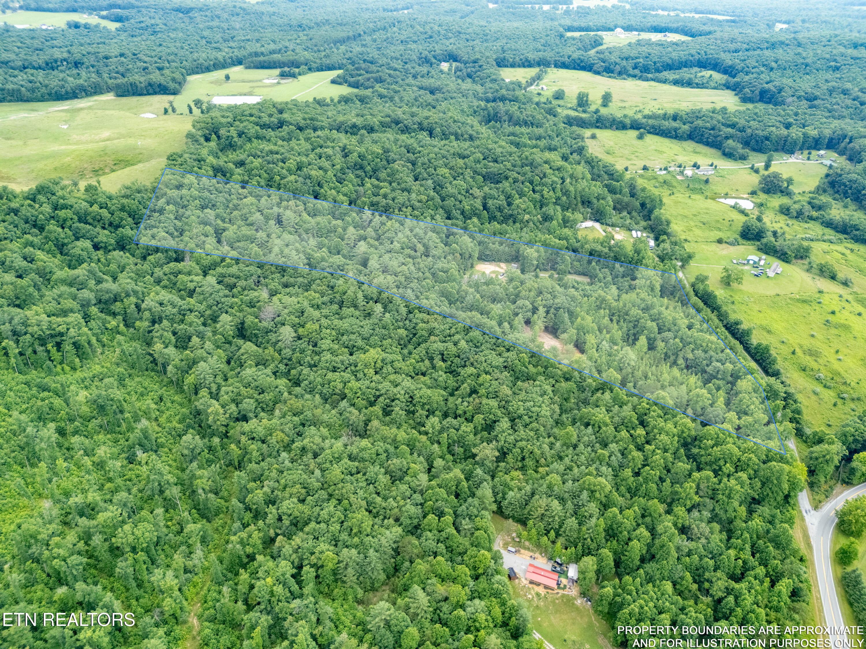 131 Bart Woolum Road Lancing, TN 37770 - Photo 23 of 26 DJI_20260703173747_0481_D-HDR-LOT-LINES