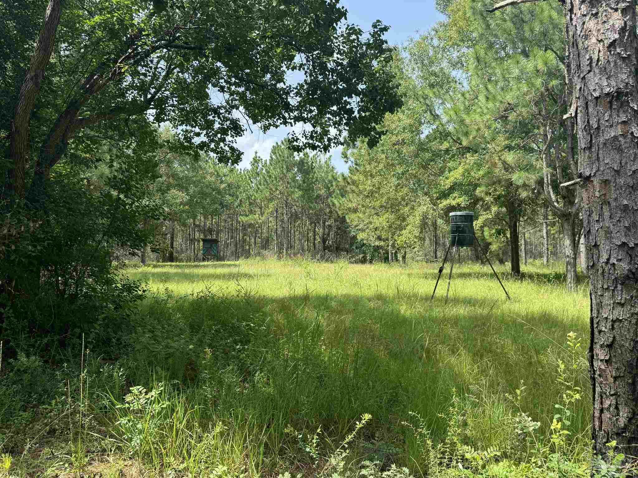 0 Nokomis Road Walnut Hill, FL 32568 - Photo 2 of 51