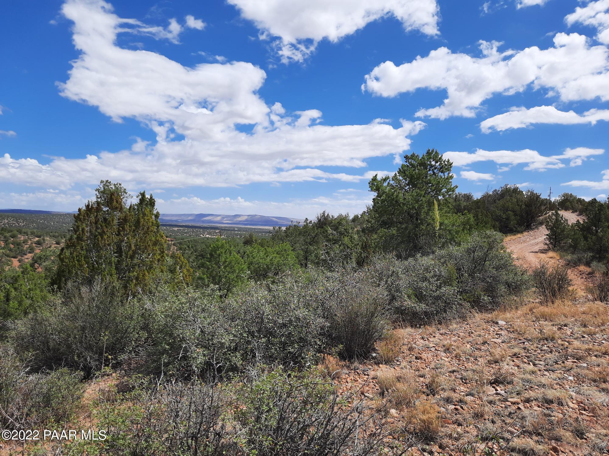 Lot 481 Ridge Runner Road Seligman, AZ 86337 - Photo 2 of 10 20220705_101905