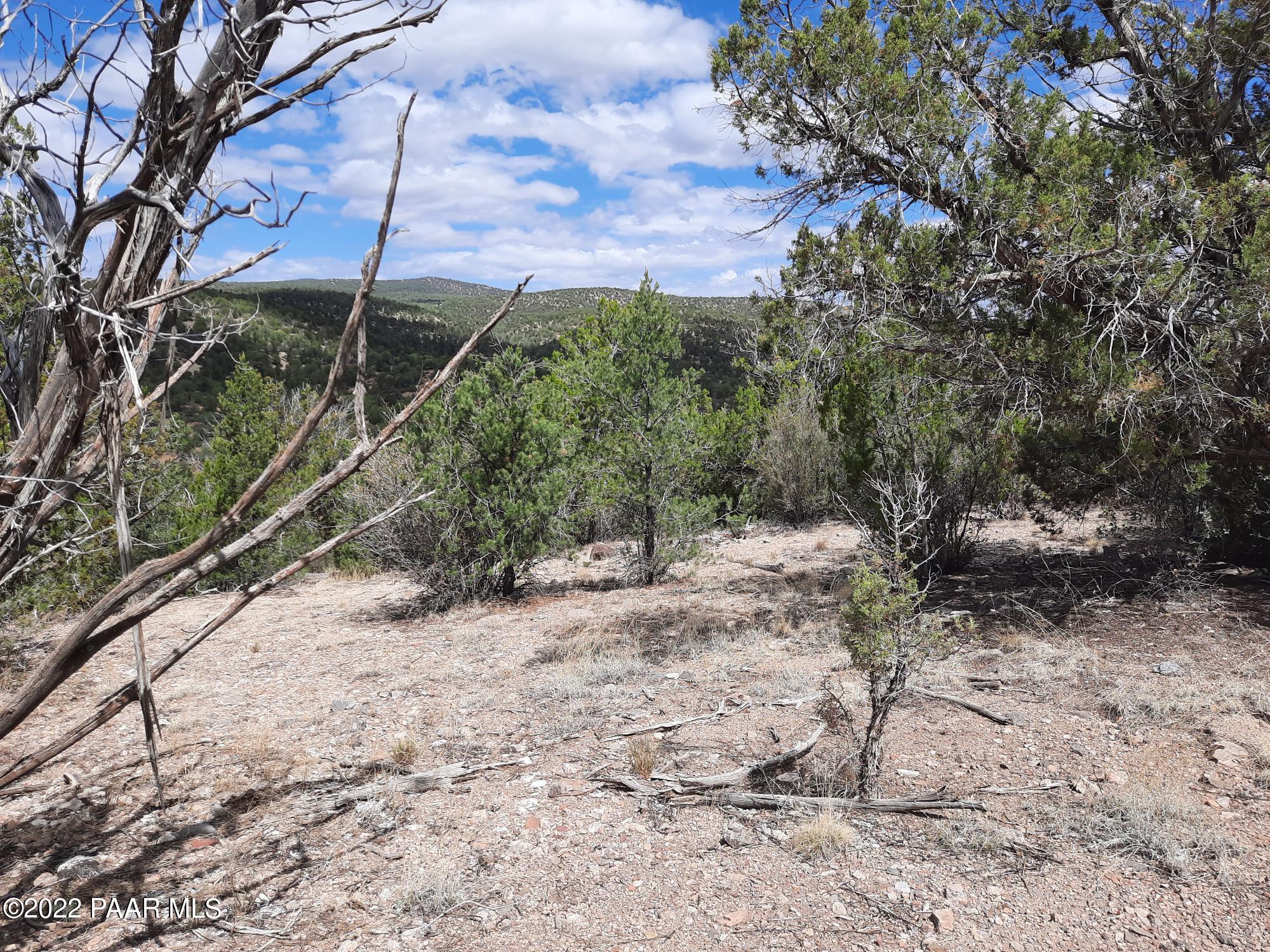 Lot 481 Ridge Runner Road Seligman, AZ 86337 - Photo 4 of 10 20220705_102631
