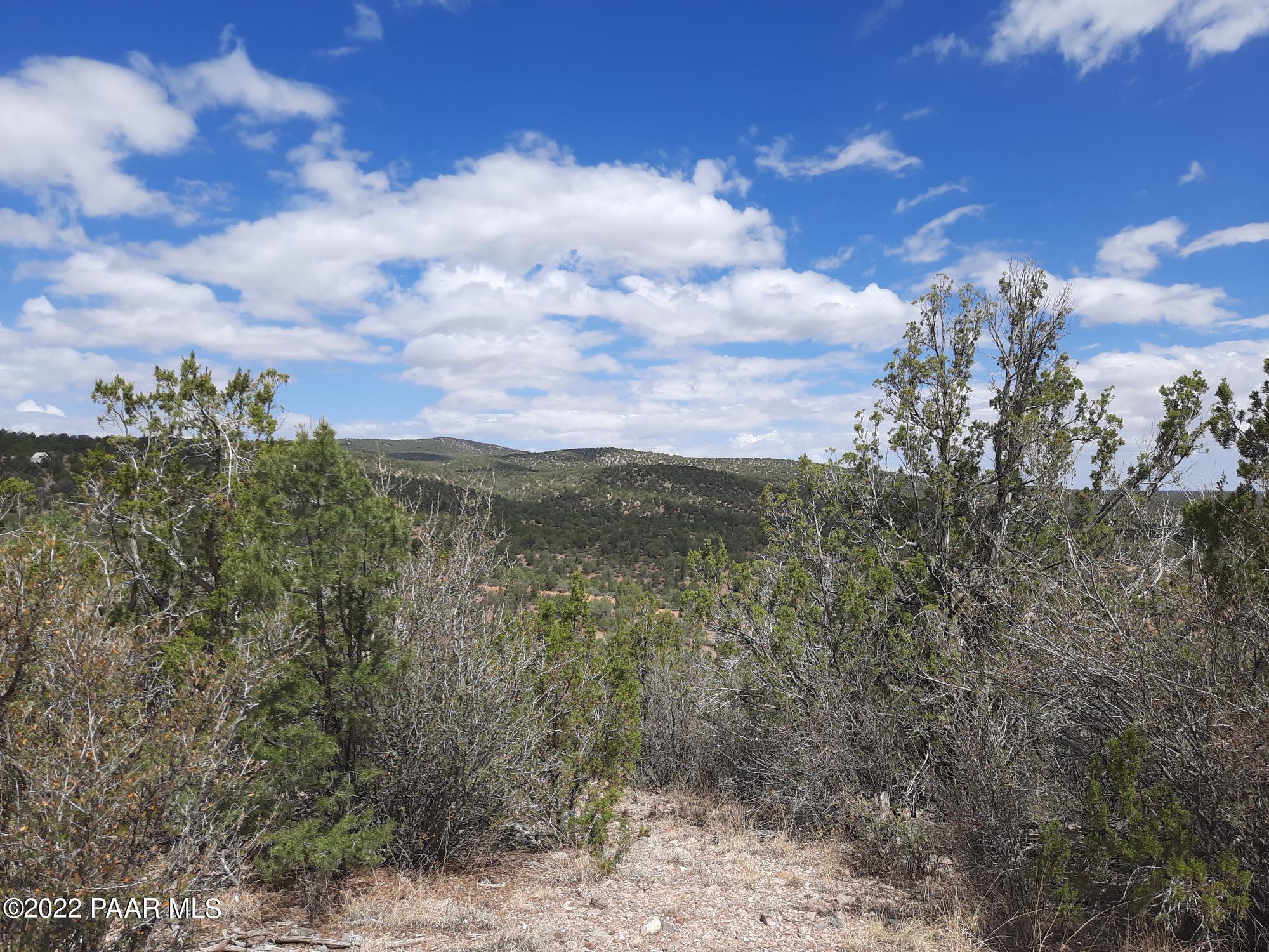 Lot 481 Ridge Runner Road Seligman, AZ 86337 - Photo 6 of 10 20220705_102730