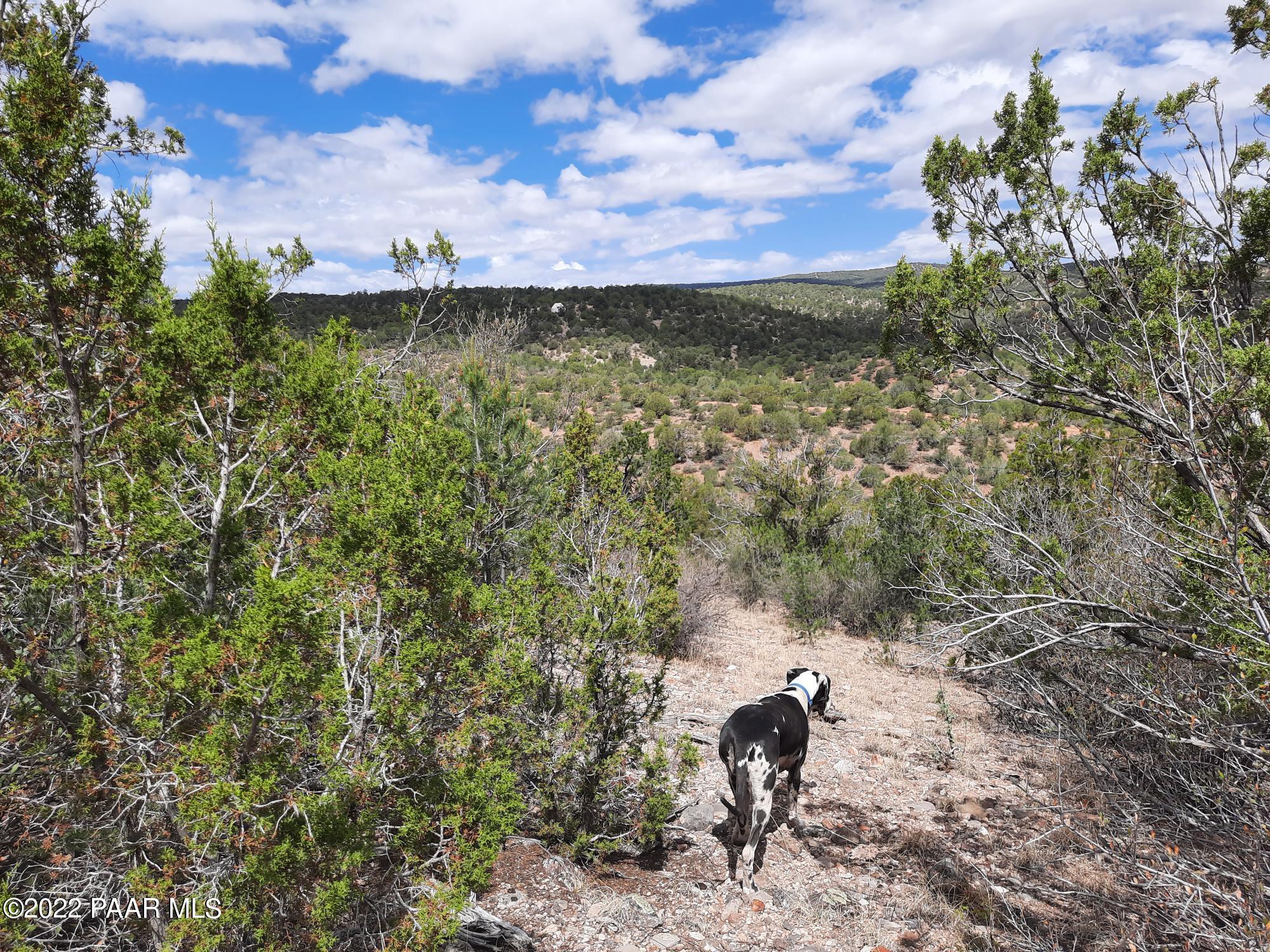 Lot 481 Ridge Runner Road Seligman, AZ 86337 - Photo 7 of 10 20220705_102752