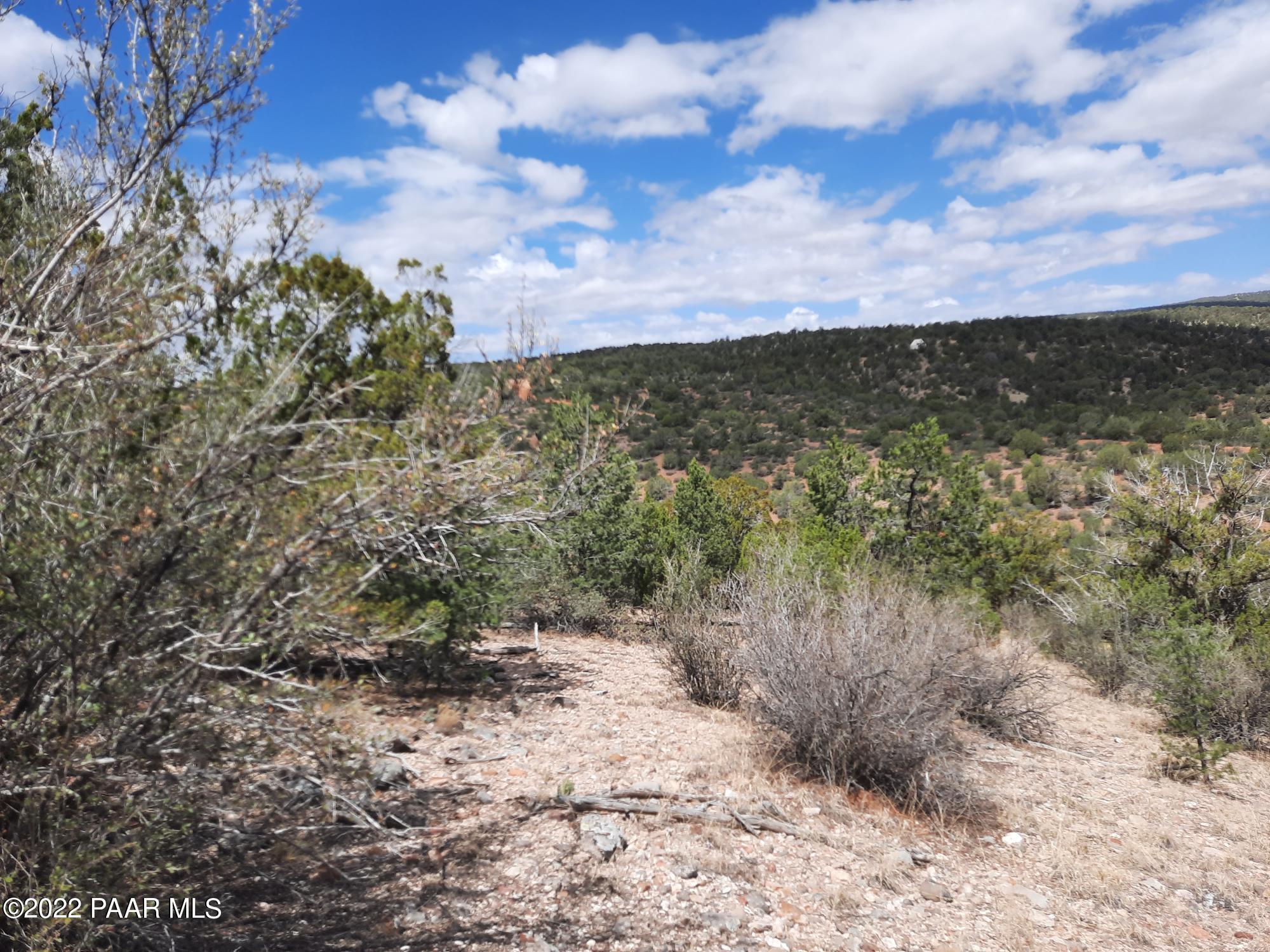 Lot 481 Ridge Runner Road Seligman, AZ 86337 - Photo 8 of 10 20220705_102815