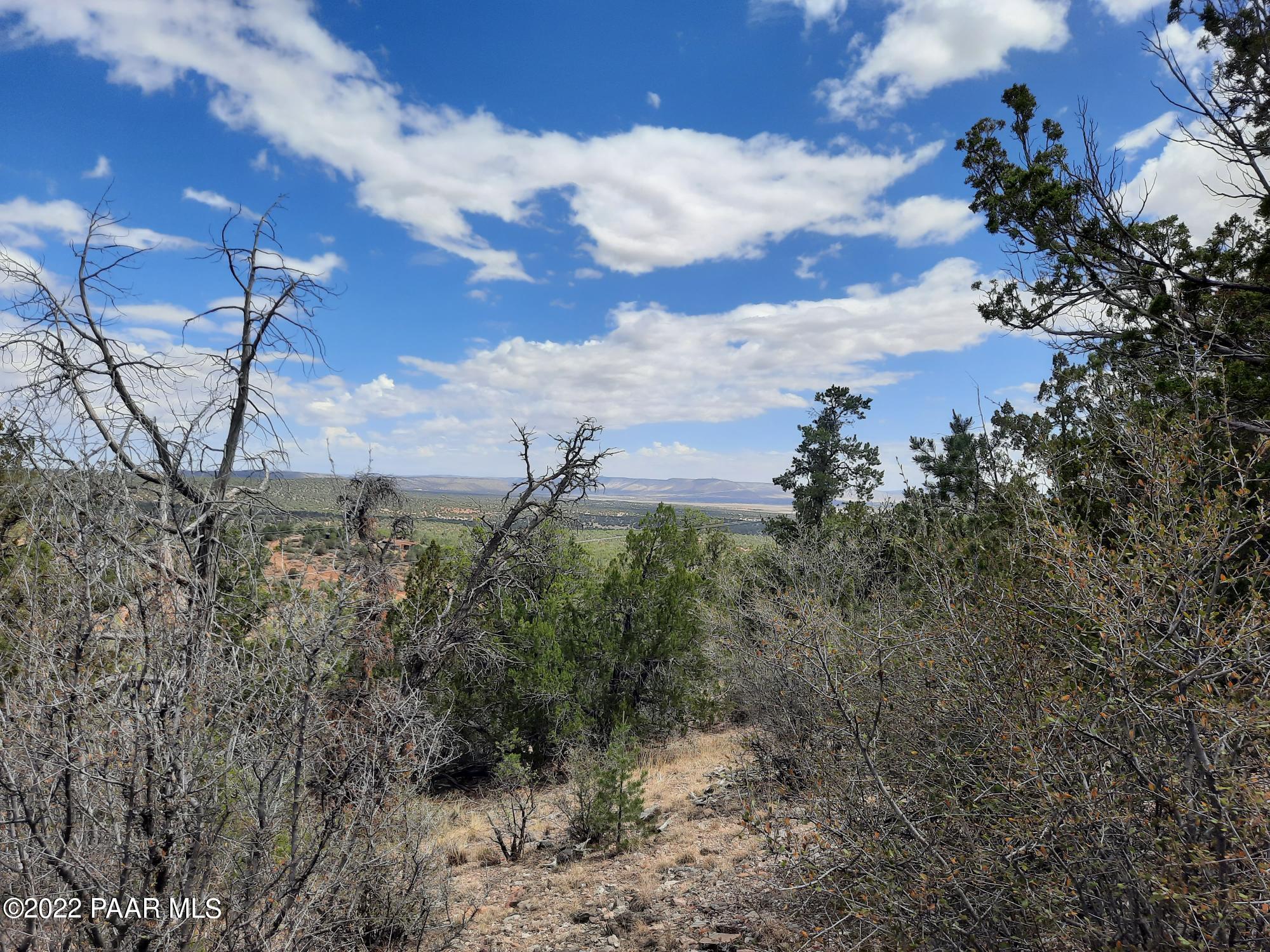 Lot 481 Ridge Runner Road Seligman, AZ 86337 - Photo 9 of 10 20220705_102827