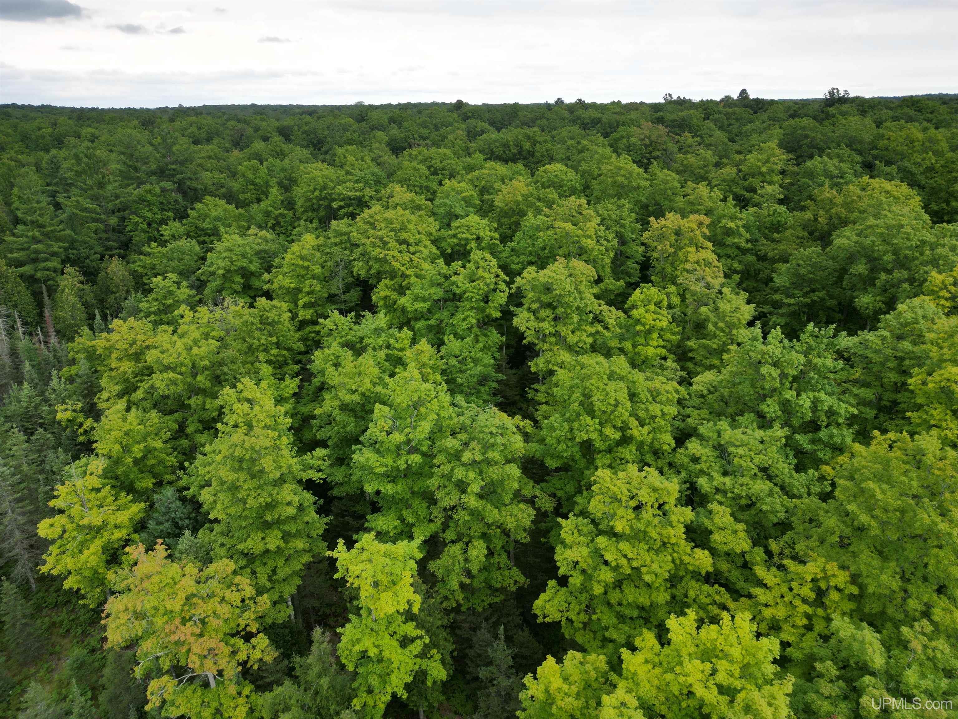 Tbd Tbd County Road, Unit 1 Cornell, MI 49818 - Photo 15 of 41