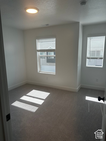 22 South Starlight Lane Mapleton, UT 84664 - Photo 13 of 17 Empty room featuring carpet floors, a textured ceiling, and a smoke detector