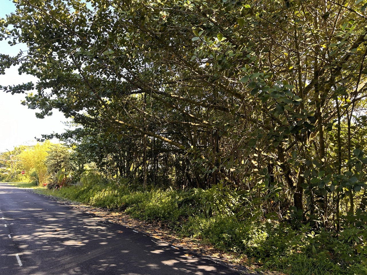 3106 Beach Road Keaau, HI 96749 - Photo 3 of 6 Gallery Image 3