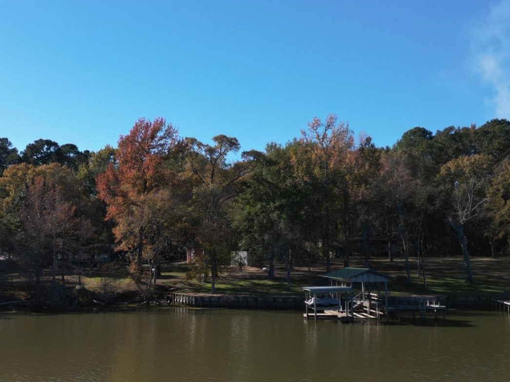 161 East Waltz Lane Trinity, TX 75862 - Photo 2 of 39 a view of ocean with trees