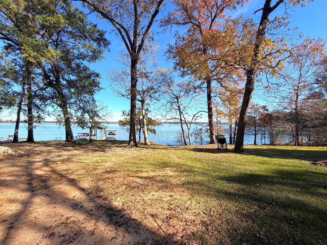161 East Waltz Lane Trinity, TX 75862 - Photo 35 of 39 a view of large trees with yard