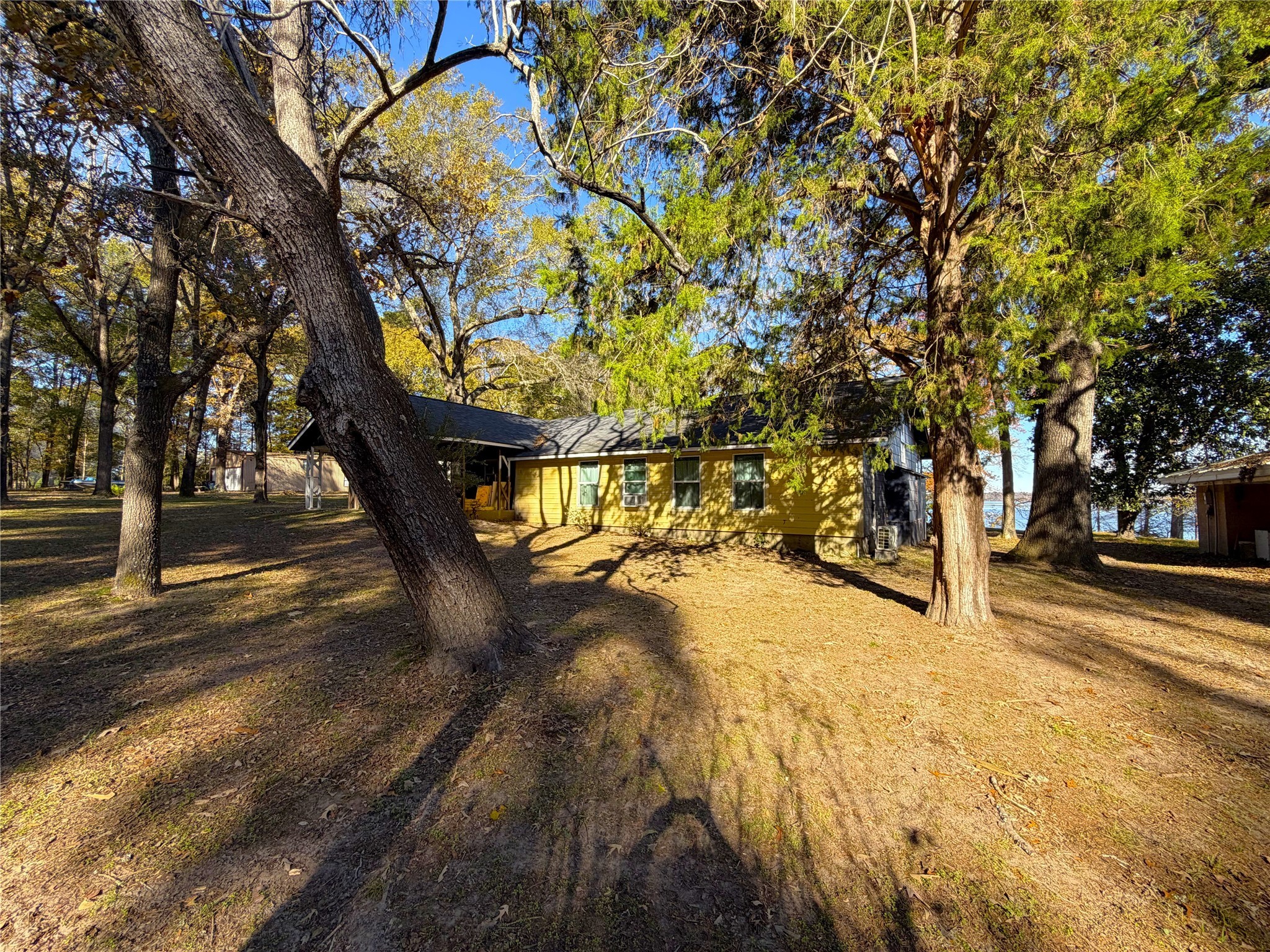 161 East Waltz Lane Trinity, TX 75862 - Photo 38 of 39 a view of road with large trees