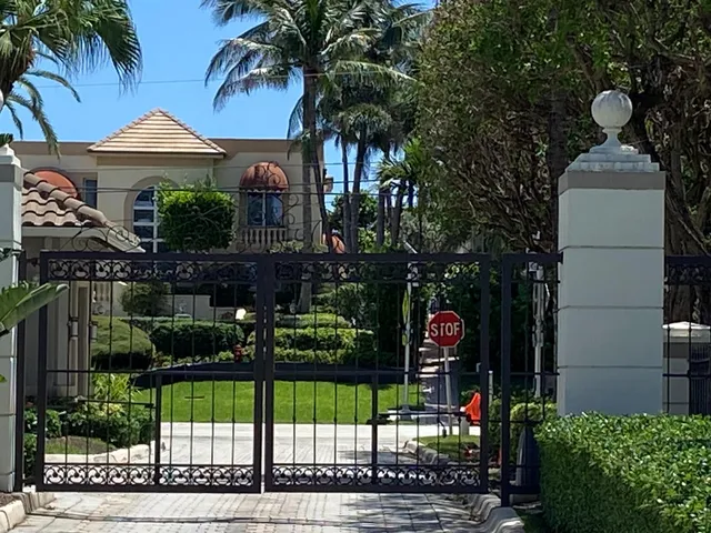 a view of a garden with plants