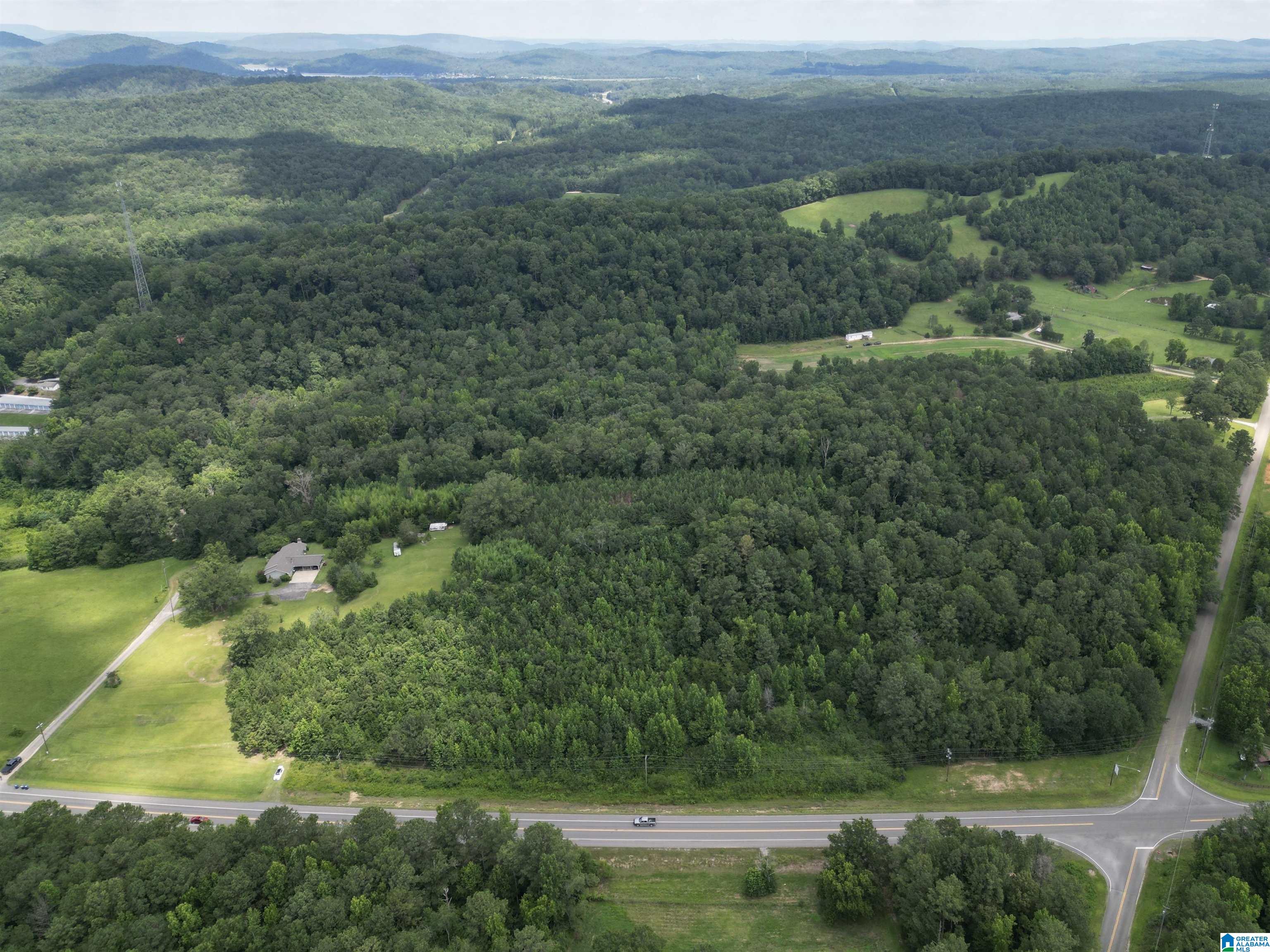 0 Highway 144, Unit 1 Ohatchee, AL 36271 - Photo 5 of 11