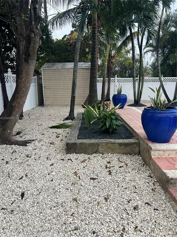 a view of a backyard that has plants and a palm tree
