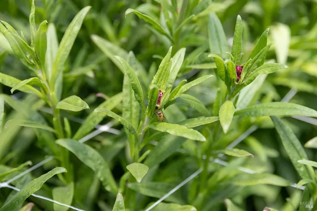 a close up of a sink