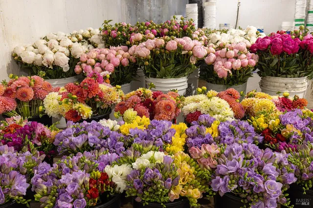 a view of a room with entryway