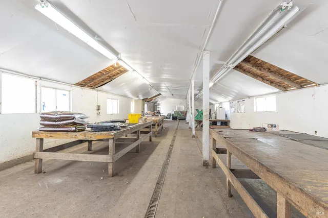 a view of a bunch of plants and trees