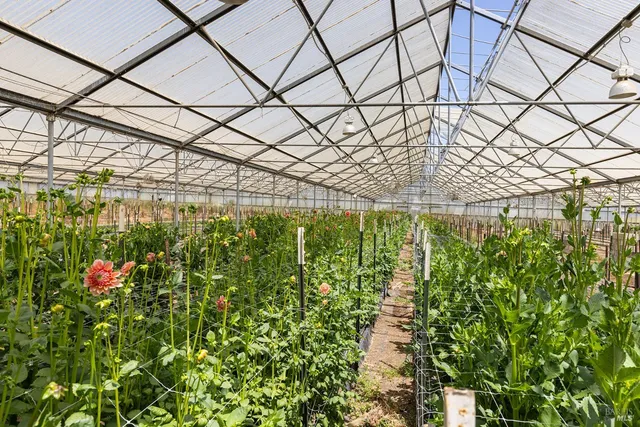 a view of a building