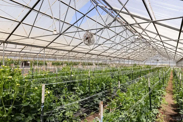a view of a pathway of a building with a yard and plants