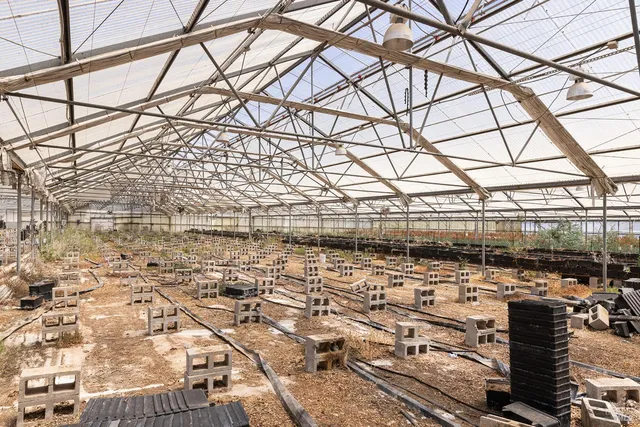 a view of outdoor space with deck and yard