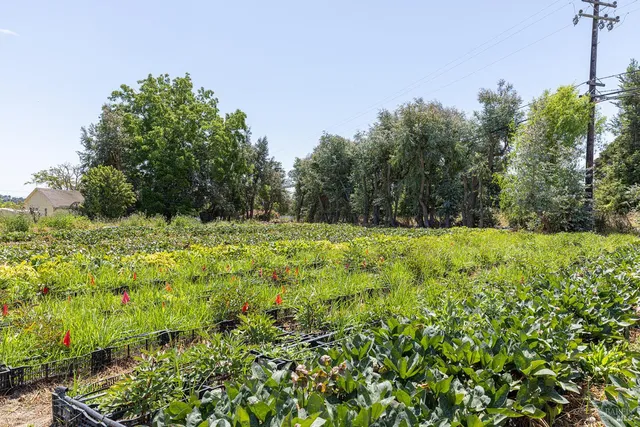 a view of a pathway with a backyard