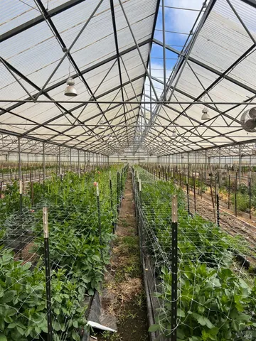 an outdoor space with furniture and garden