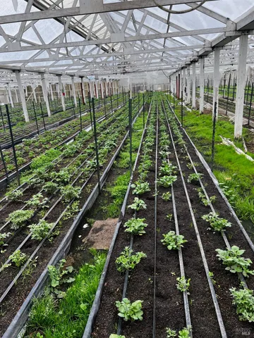 a view of a large body of water with lots of trees in the background