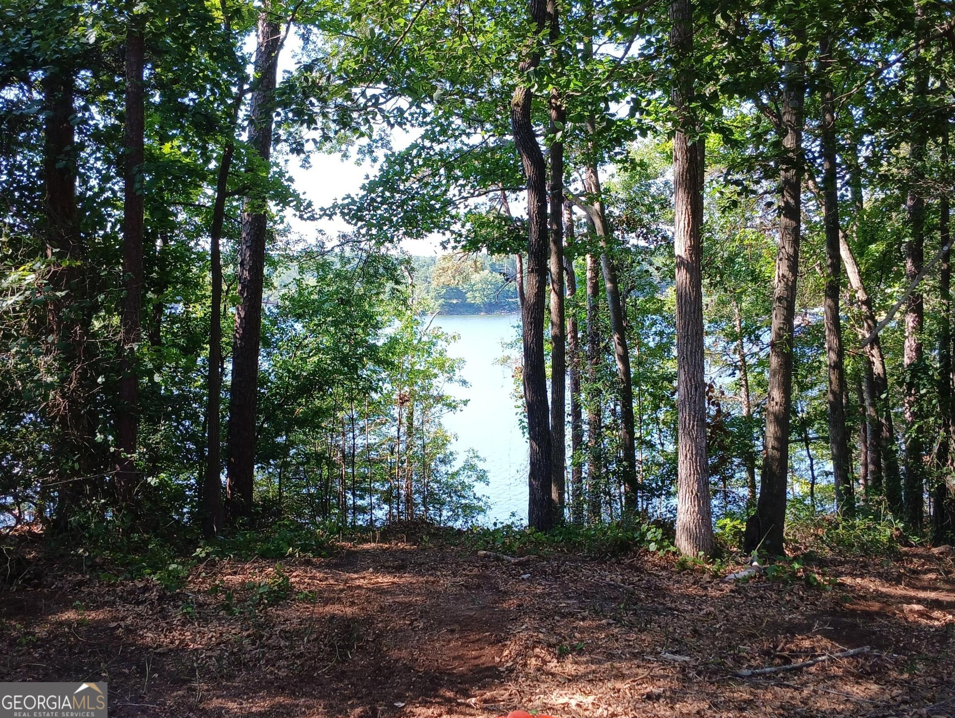 548 Old Beacon Light Road Hartwell, GA 30643 - Photo 14 of 15