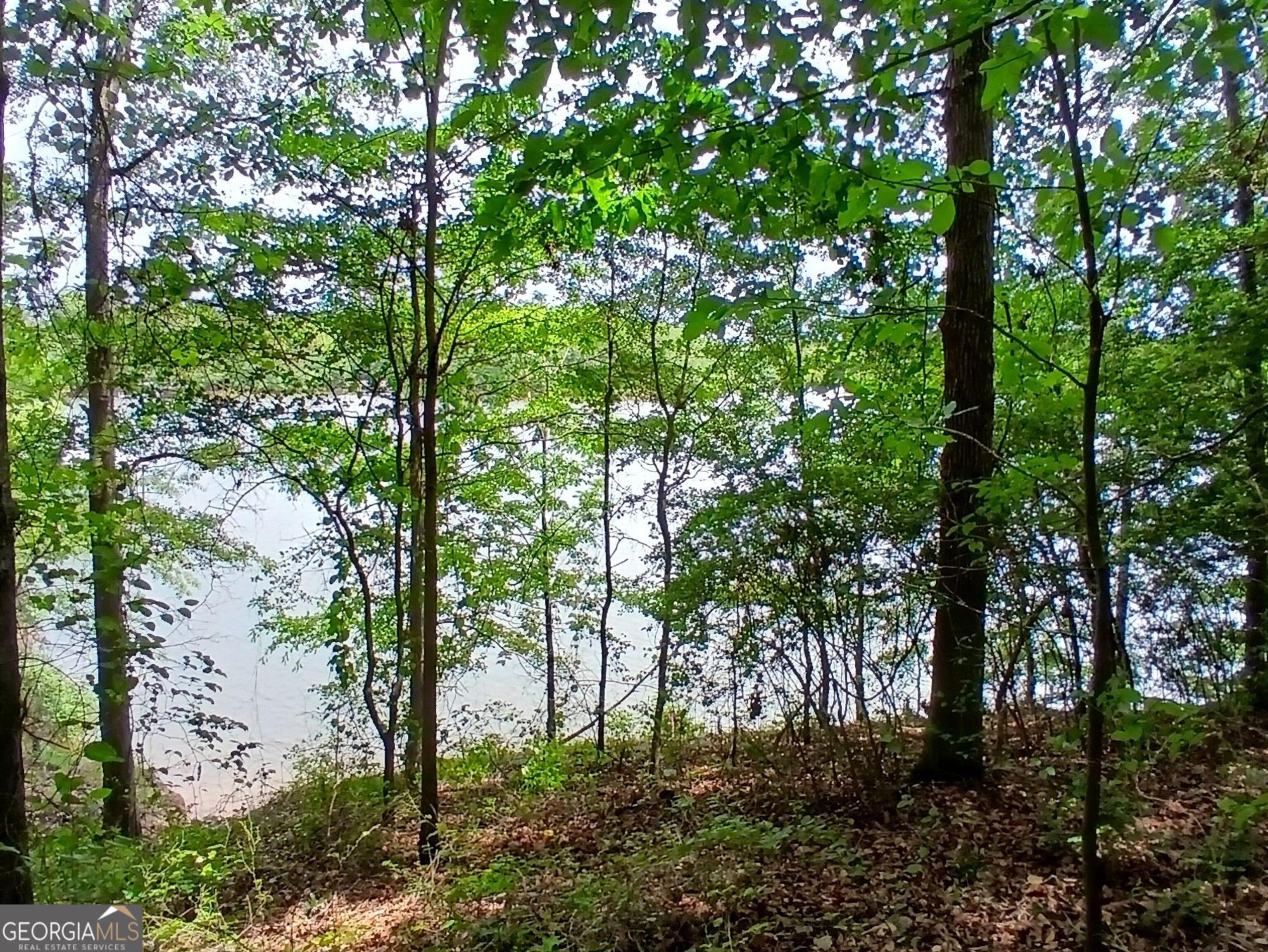 548 Old Beacon Light Road Hartwell, GA 30643 - Photo 2 of 15