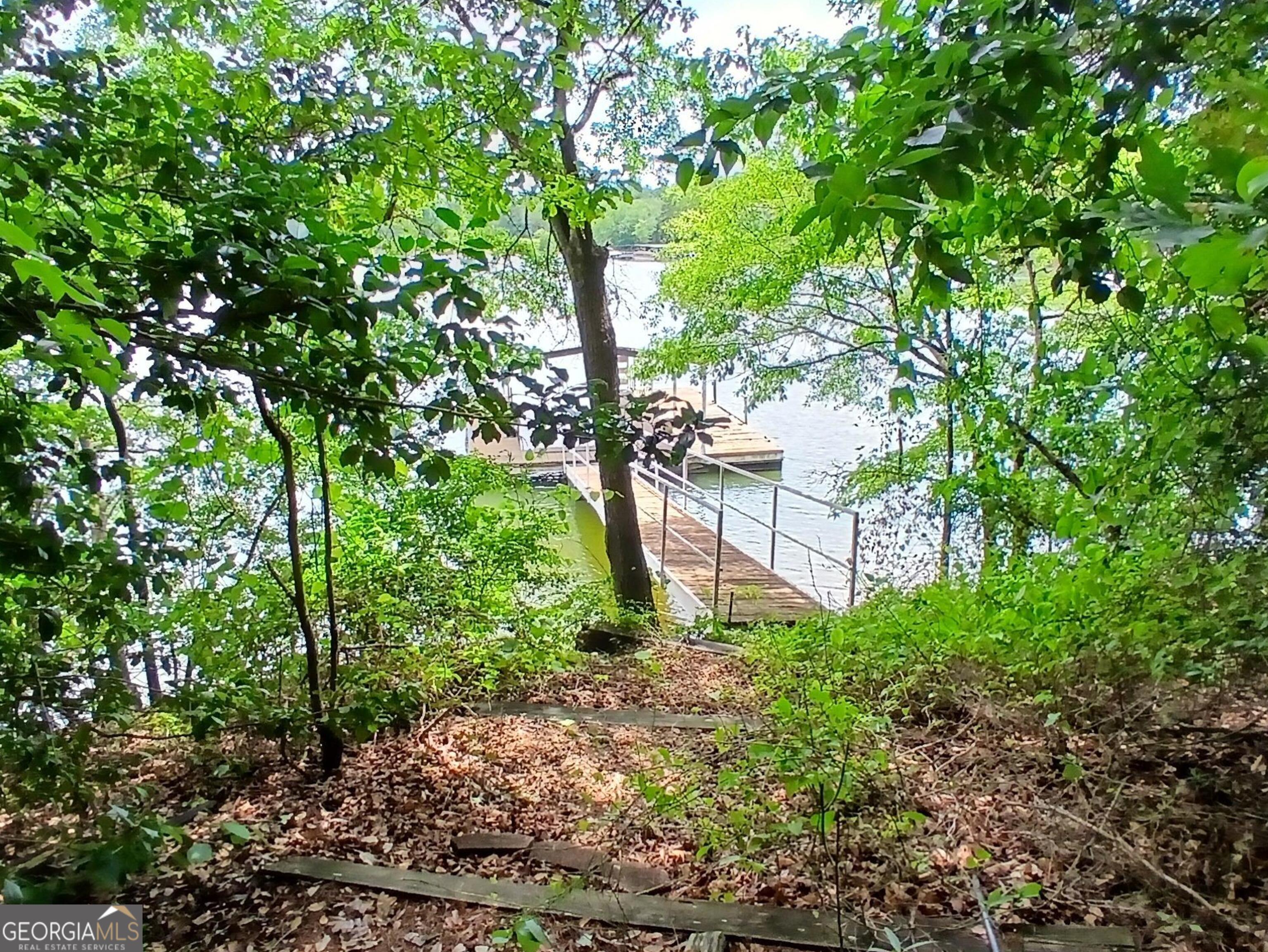 548 Old Beacon Light Road Hartwell, GA 30643 - Photo 3 of 15