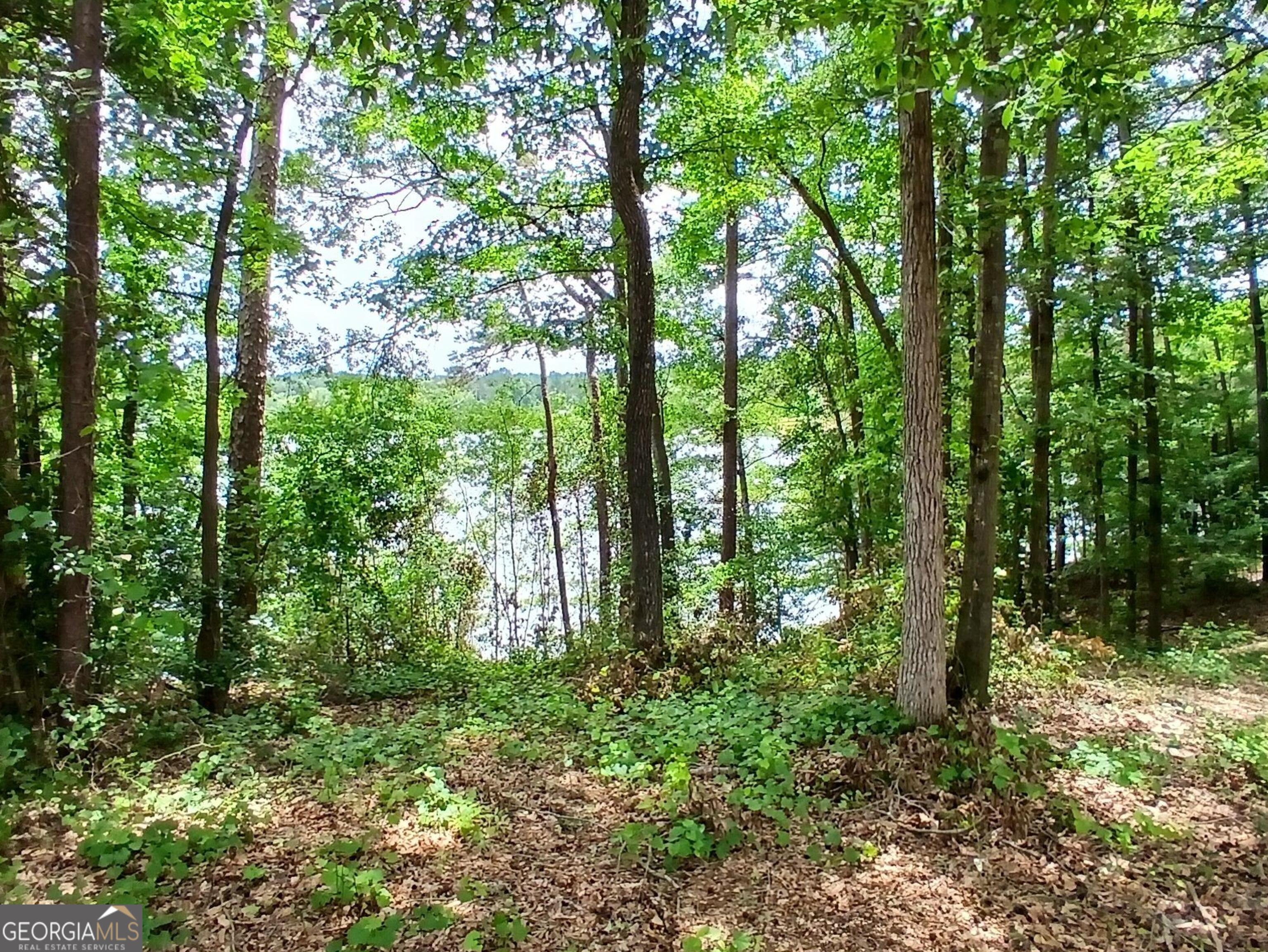 548 Old Beacon Light Road Hartwell, GA 30643 - Photo 8 of 15