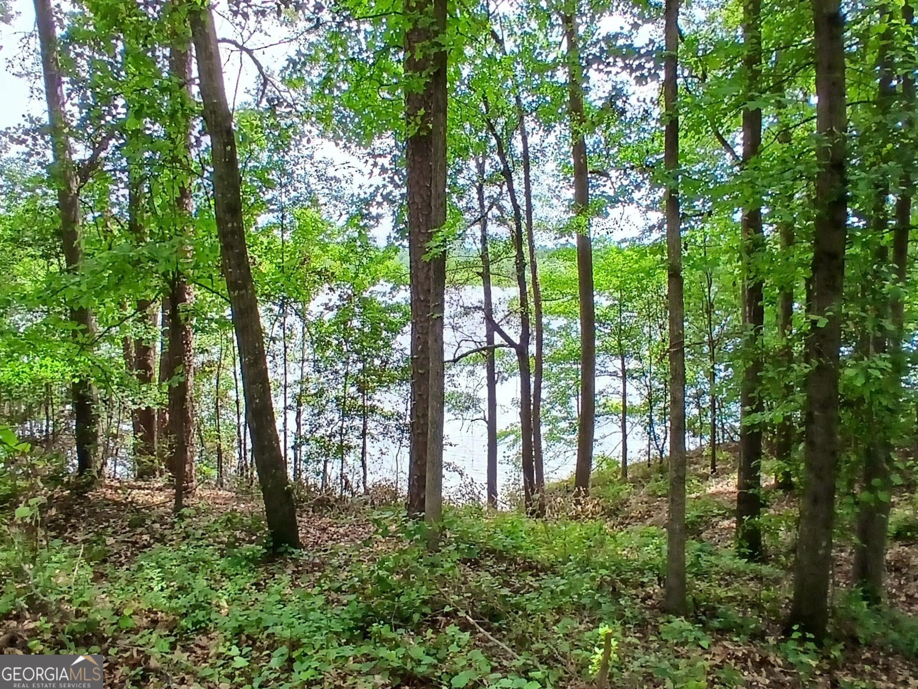 548 Old Beacon Light Road Hartwell, GA 30643 - Photo 9 of 15