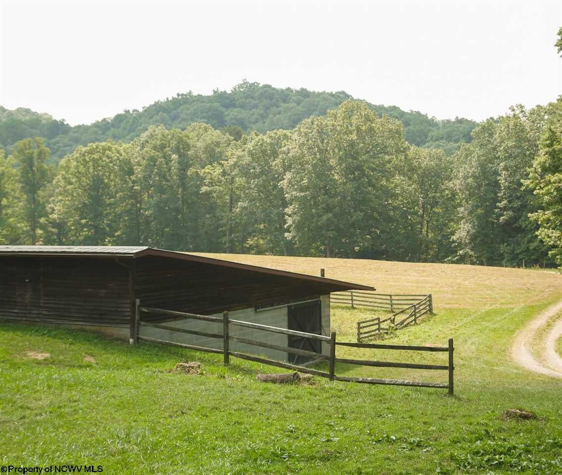 5225 Goose Creek Road Walker, WV 26180 - Photo 11 of 30 Gallery Image 11