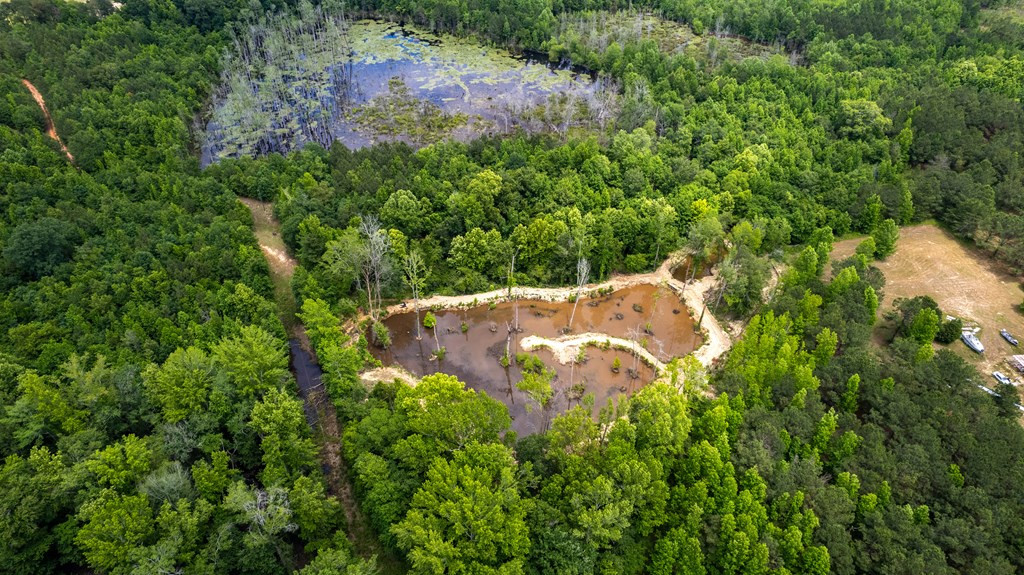 6675 Peach Orchard Road Dalzell, SC 29040 - Photo 24 of 24 Gallery Image 24
